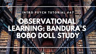 Observational Learning Banduras Bobo Doll Study Intro Psych Tutorial 67 [upl. by Adidnere]