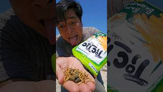 Found a tictic snack but ran away seeing worms inside shorts shortvideo viralvideo [upl. by Wrench204]