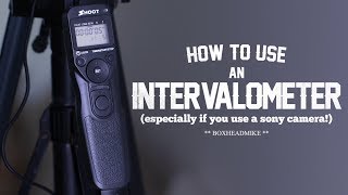 How to use an intervalometer timelapse photography [upl. by Ahtelat185]