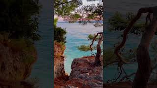 Chorwacja cykady 2024 Croatia Brela Makarska Riwiera cicada chill chillmusic croatia sea rock [upl. by Hplodur]