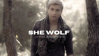 She Wolf  Sia  Javier Arrogante Cover [upl. by Reemas]