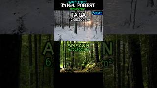 TAIGA in HINDI ampURDUTAIGA is the largest boreal forest on earth which larger than Amazon [upl. by Ahsakat]