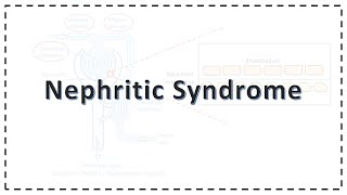 Nephritic Syndrome  Pathophysiology  Simplified [upl. by Chrissy]