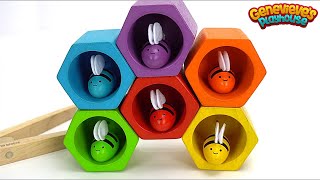 Preschool Learning Video with Lots of Fun Educational Toys [upl. by Anala]