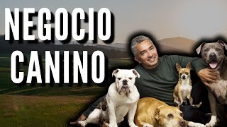 Superación y éxito Cómo César Millán cambió su vida y la de los perros [upl. by Cardwell531]