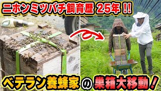 【ニホンミツバチ飼育歴25年！】ベテラン養蜂家 師匠の巣箱大移動！ [upl. by Sabino693]