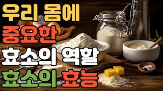 건강우리 몸에 중요한 효소의 역할과 효능 효소 효소의 역할 효소의 효능 단백질촉매 [upl. by Leahkim]