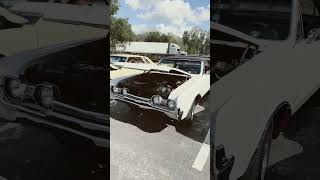 Car Show Kumquat Festival automobile cruisetime classic 37spiker [upl. by Norrabal]