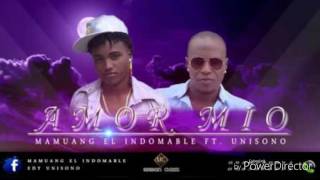 Amor Mio  Mamuang ft Unisono Letra [upl. by Pren]