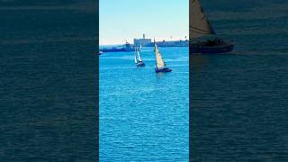 Playing with Sailboats ⛵️ in Port of Los Angeles sailboat shiplife seaman [upl. by Holden]