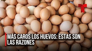 Dramático aumento en el precio de la docena de huevos [upl. by Hullda]