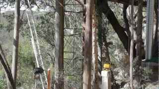 Wollemi Wildernes Cabins  Australias Top Treehouse [upl. by Swamy88]