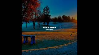 TERE BINA  TEGI PANNU Slowed Reverb [upl. by Ingemar525]