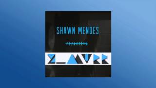 Shawn Mendes  Stitches ZMurr Remix [upl. by Ellehcor]