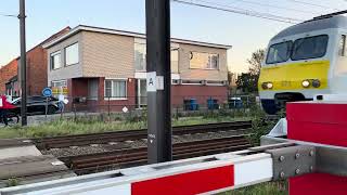 2 MS80 from NMBS cross at junction in Aarschot Flanders [upl. by Erdnua]