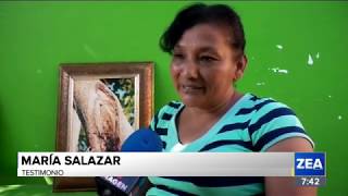 Familia presenció la aparición de la Virgen de Guadalupe en un árbol  Noticias con Paco Zea [upl. by Fayth]