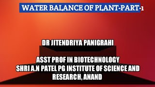 Water balance of plantspart1 [upl. by Balkin]