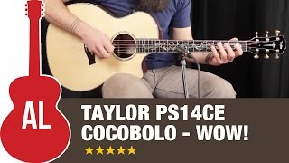 Taylor PS14ce Cocobolo  Wow listen to this guitar [upl. by Sharline]