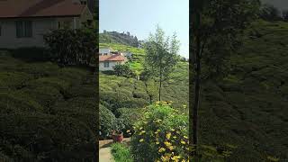 Hilltop Elegance Experience the breathtaking beauty of Planters Punch Resort in Ooty ⛰️🌿Best Villa [upl. by Oiciruam]