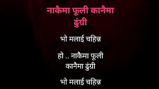 Nakaima Fuli kanaima dhungri karaoke track and lyrics  Astha Raut Nakaima Fuli karaoke [upl. by Rma884]