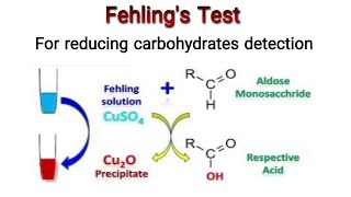 Fehlings Test for the identification of carbohydrates Knowledge Academy [upl. by Etteniotna]