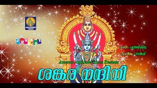 Sankara Nandhini Mandakattu Devi Devotional Hindu Devotional Songs Malayalam 2017 [upl. by Durarte]