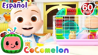 CoComelon en Español  Pijamada de Jelly Bean  Compilación de Canciones Infantiles y de Cuna [upl. by Iveksarap]