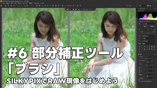 SILKYPIXでRAW現像をはじめよう 6 部分補正ツール 「ブラシ」 [upl. by Alyt237]