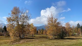 Traumreise von Dr Arnd Stein Herbst auf der Wolzenalp [upl. by Lydell]