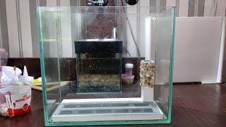 Донный фильтр для аквариума с аэролифтомAquarium bottom filter with aerial lift [upl. by Lertnek]