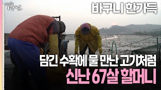 로드다큐 만남 112회① 바구니 한가득 담긴 수확에 물 만난 고기처럼 신난 67살 할머니 [upl. by Rhoades662]