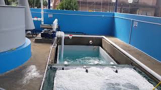 Recirculatory Aquaculture System at ICAR DCFR [upl. by Aihceyt15]