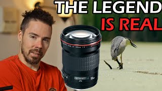 The Most Versatile Lens Ever Made Portraits Wildlife and More Legendary Canon EF 135mm f2 Review [upl. by Alyakcim]