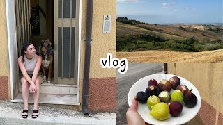 vlog in Italian la mia vacanza in Abruzzo parte 1 sub [upl. by Odrawde]