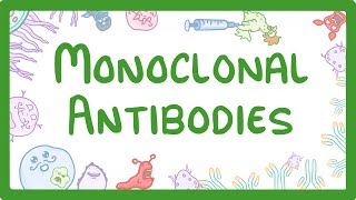 GCSE Biology  Monoclonal Antibodies 40 [upl. by Nylirehs419]