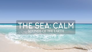 Sounds of the Earth  The Sea Calm [upl. by Buroker188]