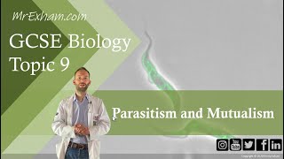 Parasitism and Mutualism  GCSE Biology 91 94 [upl. by Wylen]