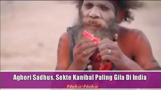 Aghori Sadhus Sekte Kanibal Yang Selalu Melibatkan Mayat Manusia Disetiap Ritual Mereka [upl. by Orvil]