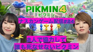 【ピクミン4】ナスカンゲーム生配信♯24 [upl. by Hedve]