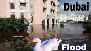 Heavy Rain Causes Flood in Dubai  UAE  January 11 2020 [upl. by Uhp]