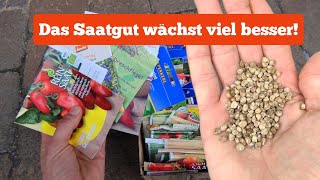 10 SaatgutHersteller die dir keinen Schrott verkaufen [upl. by Irreg]