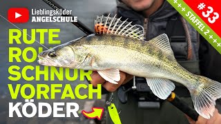 Angelausrüstung zum Zanderangeln mit dem Gummifisch 🔥🎣👍🏼 [upl. by Mcmahon]