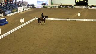 Lauren Barwick in Lexington Kentuky USA 2010 ParaDressage [upl. by Kcirdahc782]