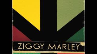 Ziggy Marley  quotChangesquot feat Daniel Marley  Wild and Free [upl. by Hobbie]