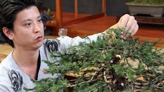 Bonsai demo by Masashi Hirao [upl. by Iramat782]