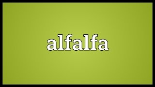 Alfalfa Meaning [upl. by Ameekahs486]