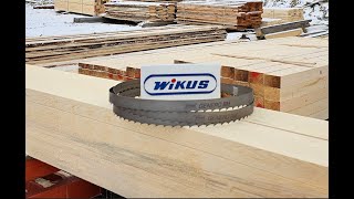 GENERO  Bi Metal Bandsaw Blade for Efficient Wood Cutting  By WIKUS [upl. by Bissell]