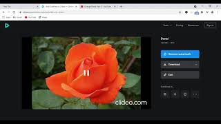 How to use Clideo to Add Subtitles [upl. by Lihcox]