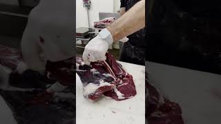 Removing the Deer Femur Bone 🔪🦌 shorts deer venison butcher [upl. by Cecilius]