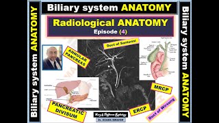 Radiological anatomy episode 4 Biliary system Anatomy [upl. by Notecnirp]